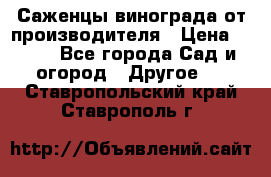 Саженцы винограда от производителя › Цена ­ 800 - Все города Сад и огород » Другое   . Ставропольский край,Ставрополь г.